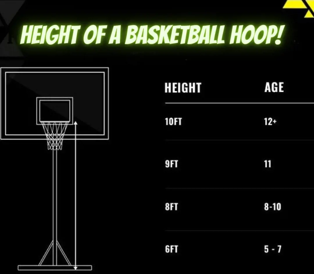 A basketball hoop is 10 feet tall from the ground