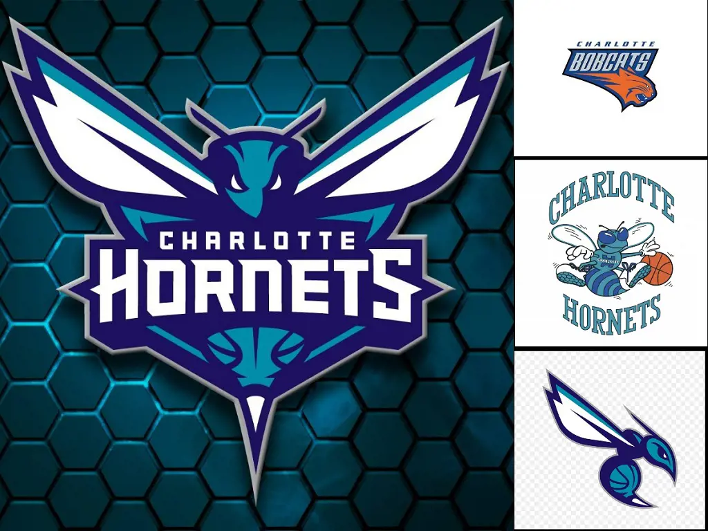The Hornets are mainly know by these four logos in the NBA, including their time as Bobcats.