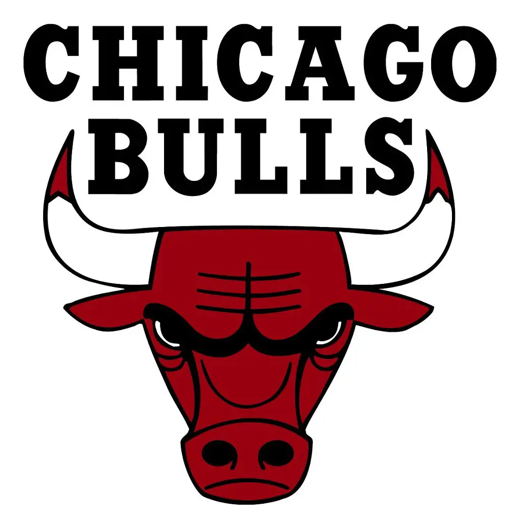 The logo of Chicago Bulls has been the same ever since their foundation in 1966.